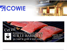 Tablet Screenshot of magasinventedetail.cowieinc.com